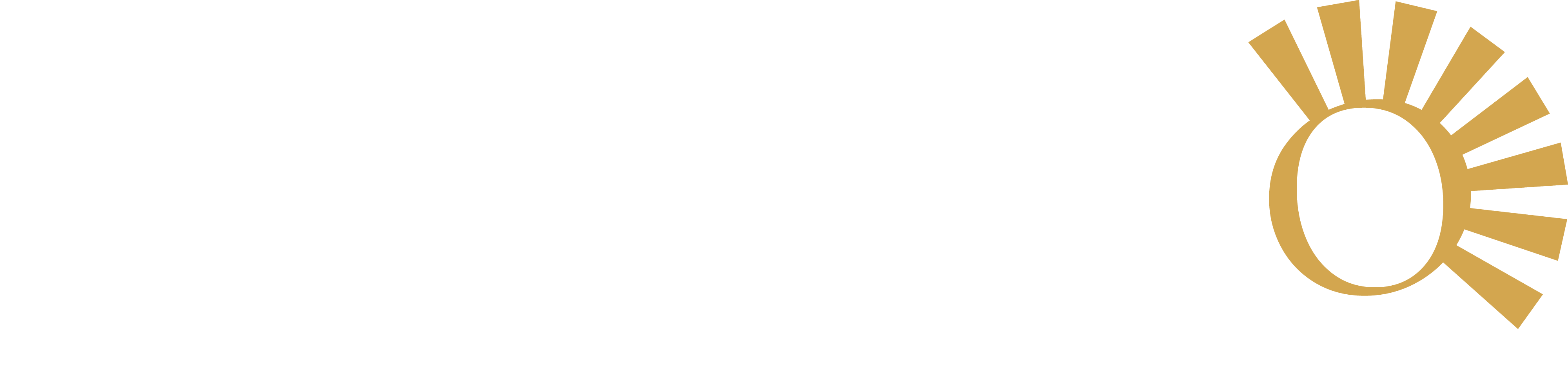 DuPorto Restaurante Nordestino